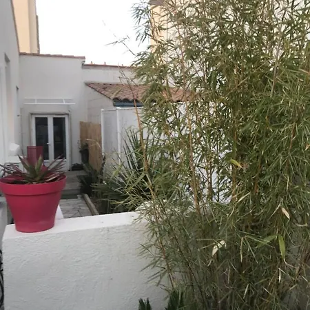 아파트 Jolie T2, Avec Cour Privee 프롱티냥